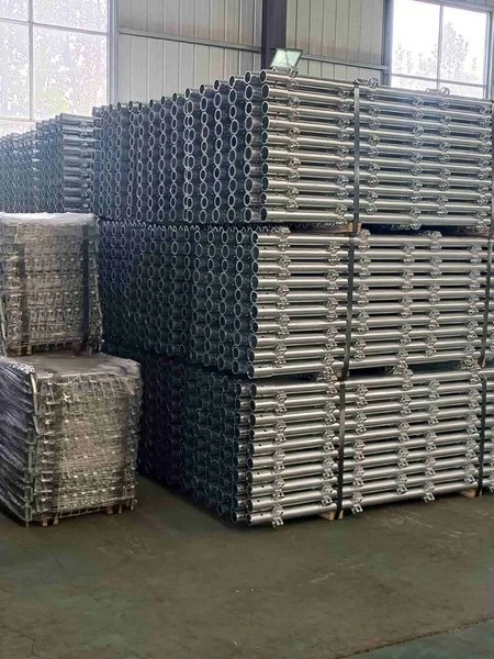 Packaging and Global Delivery Solutions